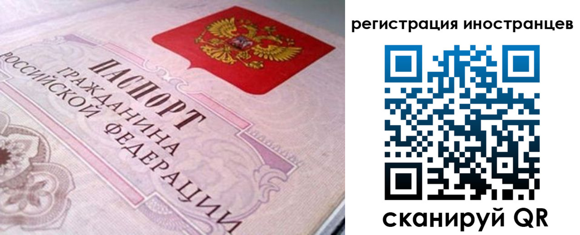 регистрация в Петропавловске-Камчатском